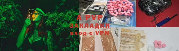 apvp Осташков