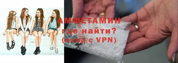 амф Гатчина
