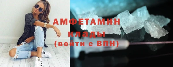 ПСИЛОЦИБИНОВЫЕ ГРИБЫ Няндома