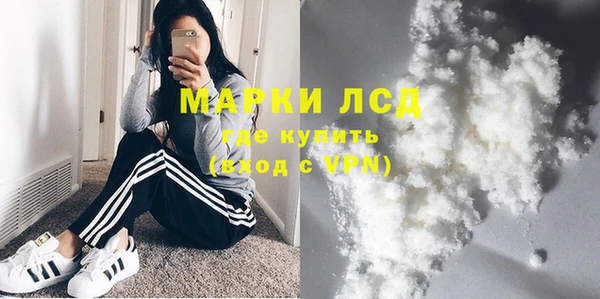 spice Осинники
