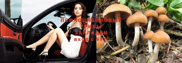 прущая мука Нягань