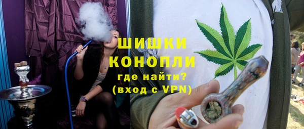 spice Осинники