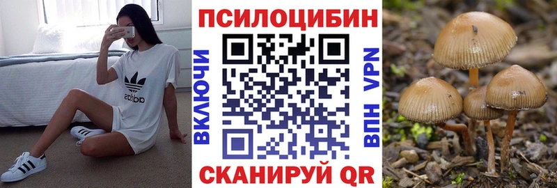 Галлюциногенные грибы ЛСД  купить наркотик  Лосино-Петровский 
