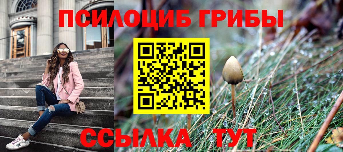Псилоцибиновые грибы MAGIC MUSHROOMS Лосино-Петровский