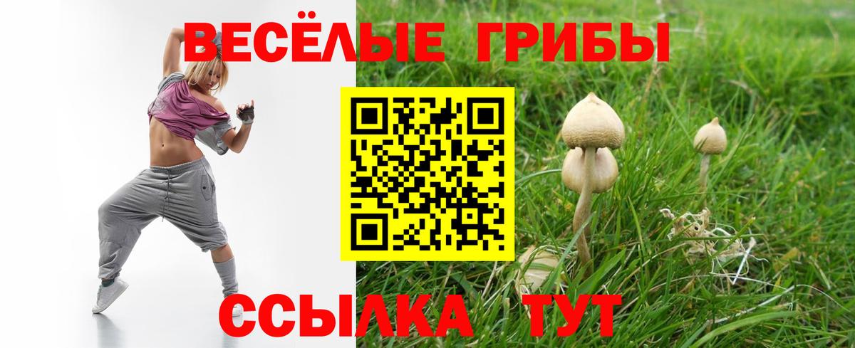 Псилоцибиновые грибы Psilocybe  Вход с VPN  Лосино-Петровский 