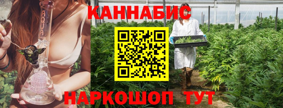 Бошки Шишки ГИДРОПОН Лосино-Петровский